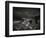 Shark Dorsal Fin-Henry Horenstein-Framed Photographic Print