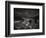 Shark Dorsal Fin-Henry Horenstein-Framed Photographic Print