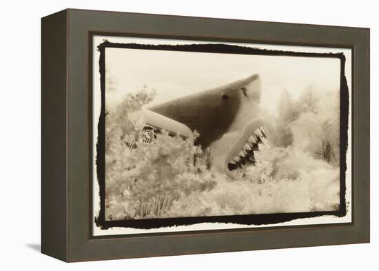 Shark Entryway,Australia-Theo Westenberger-Framed Stretched Canvas