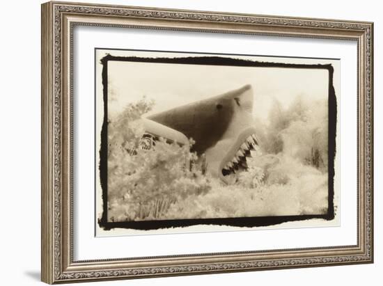 Shark Entryway,Australia-Theo Westenberger-Framed Art Print