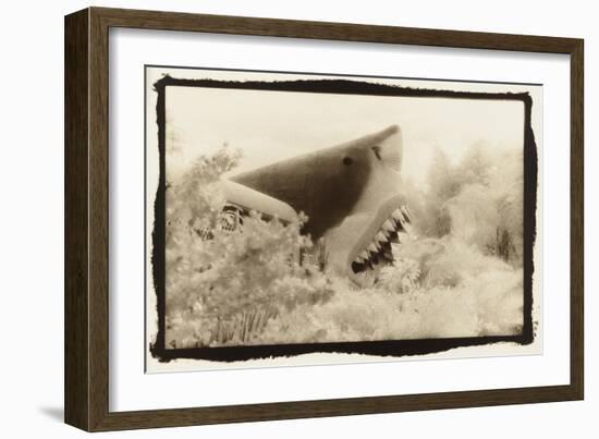 Shark Entryway,Australia-Theo Westenberger-Framed Art Print
