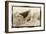 Shark Entryway,Australia-Theo Westenberger-Framed Art Print