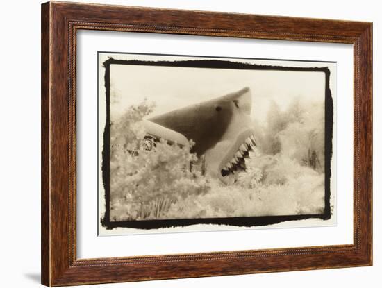 Shark Entryway,Australia-Theo Westenberger-Framed Art Print