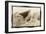 Shark Entryway,Australia-Theo Westenberger-Framed Art Print