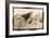 Shark Entryway,Australia-Theo Westenberger-Framed Art Print