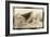 Shark Entryway,Australia-Theo Westenberger-Framed Art Print