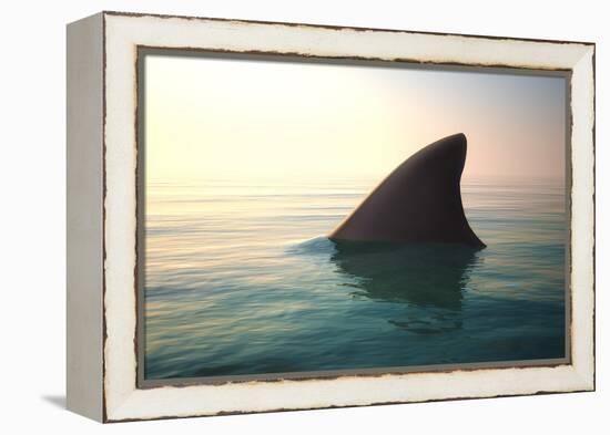 Shark Fin above Ocean Water-null-Framed Premier Image Canvas