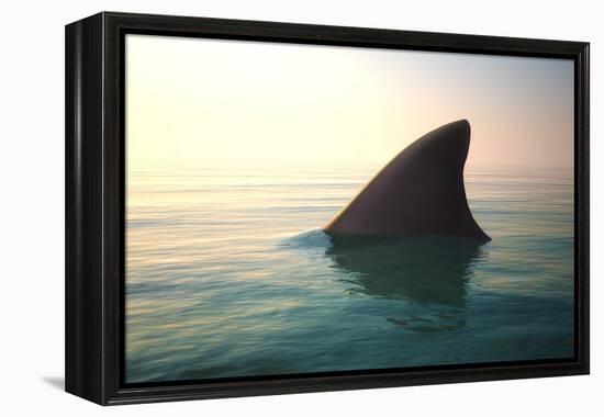 Shark Fin above Ocean Water-null-Framed Premier Image Canvas