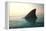 Shark Fin above Ocean Water-null-Framed Premier Image Canvas
