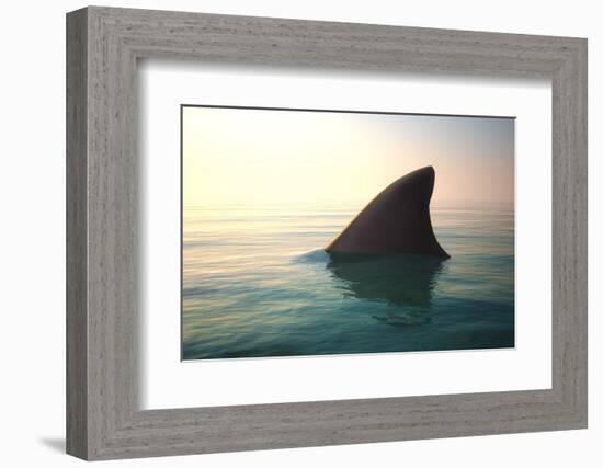 Shark Fin above Ocean Water-null-Framed Photographic Print