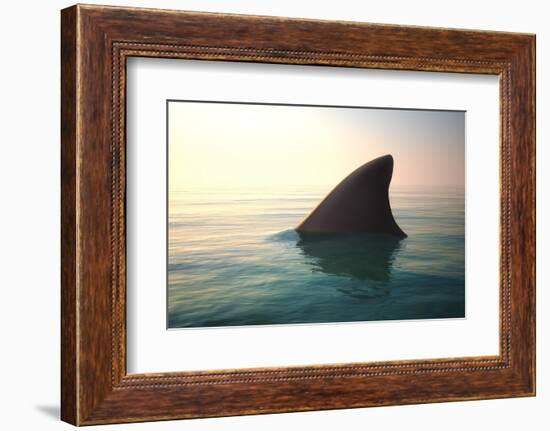 Shark Fin above Ocean Water-null-Framed Photographic Print