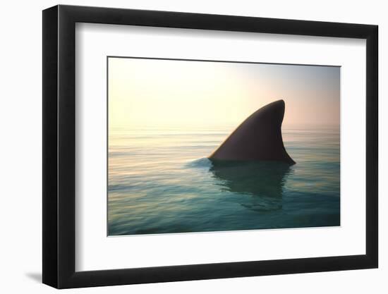 Shark Fin above Ocean Water--Framed Photographic Print