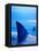 Shark Fins Cutting Surface of Water-Randy Faris-Framed Premier Image Canvas