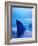 Shark Fins Cutting Surface of Water-Randy Faris-Framed Photographic Print