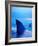 Shark Fins Cutting Surface of Water-Randy Faris-Framed Photographic Print