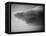 Shark Mouth-Henry Horenstein-Framed Premier Image Canvas