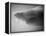 Shark Mouth-Henry Horenstein-Framed Premier Image Canvas