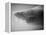 Shark Mouth-Henry Horenstein-Framed Premier Image Canvas