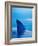 Shark's Dorsal Fin Cutting Surface of Water-Randy Faris-Framed Photographic Print