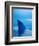 Shark's Dorsal Fin Cutting Surface of Water-Randy Faris-Framed Photographic Print