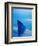 Shark's Dorsal Fin Cutting Surface of Water-Randy Faris-Framed Photographic Print