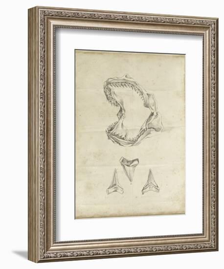 Shark Study II-Ethan Harper-Framed Art Print