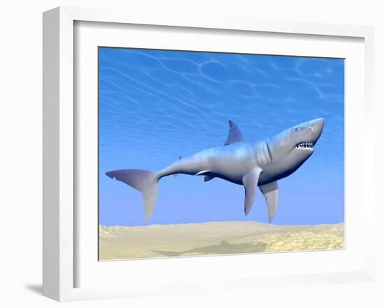 Shark Swimming Underwater with Reflections of the Sun-null-Framed Art Print