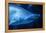 Shark-Karyn Millet-Framed Premier Image Canvas