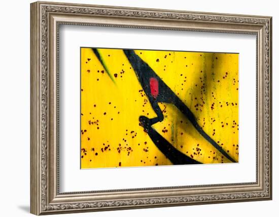 Shark-Ursula Abresch-Framed Photographic Print