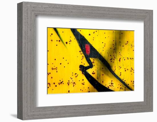 Shark-Ursula Abresch-Framed Photographic Print