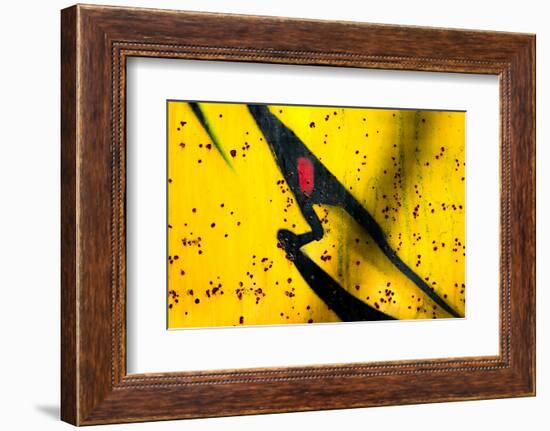 Shark-Ursula Abresch-Framed Photographic Print