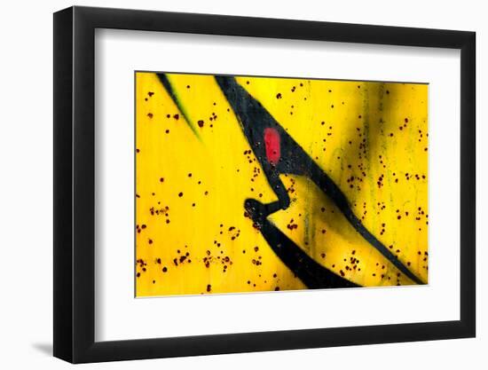 Shark-Ursula Abresch-Framed Photographic Print