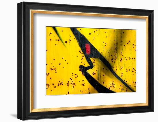 Shark-Ursula Abresch-Framed Photographic Print