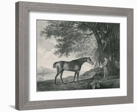 Sharke, Engraved by George Townley Stubbs (1756-1815) Pub. 1794-George Stubbs-Framed Giclee Print