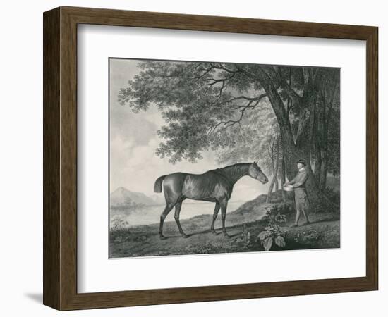 Sharke, Engraved by George Townley Stubbs (1756-1815) Pub. 1794-George Stubbs-Framed Giclee Print