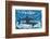 Sharks for Kids-null-Framed Premium Giclee Print