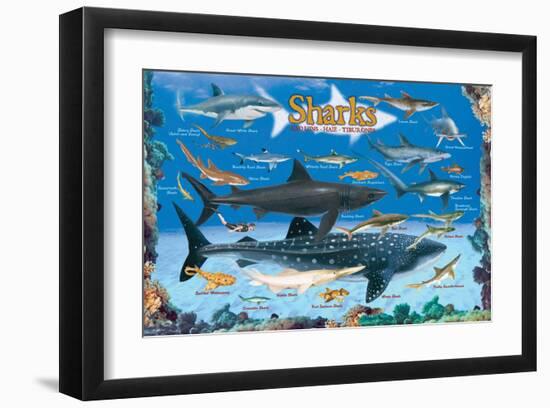 Sharks for Kids-null-Framed Art Print