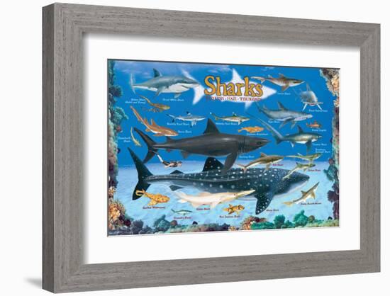 Sharks for Kids-null-Framed Art Print