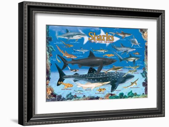 Sharks for Kids-null-Framed Art Print