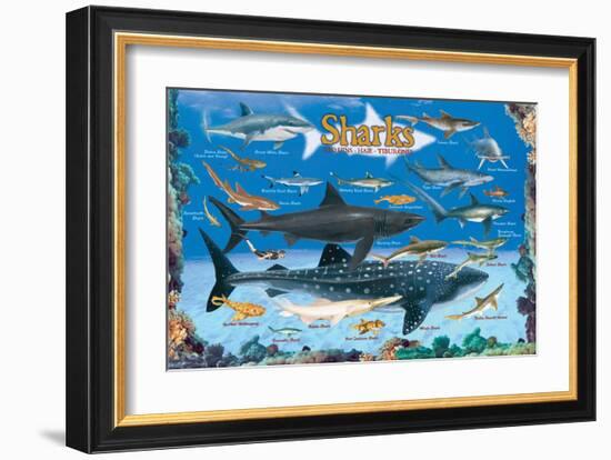 Sharks for Kids-null-Framed Art Print