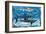 Sharks for Kids-null-Framed Art Print