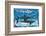 Sharks for Kids-null-Framed Art Print