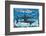 Sharks for Kids-null-Framed Art Print