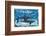 Sharks for Kids-null-Framed Art Print