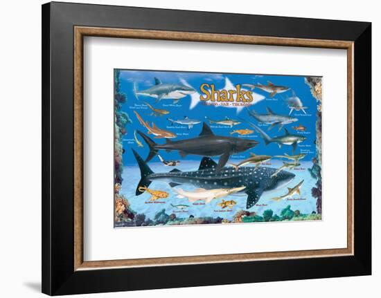 Sharks for Kids-null-Framed Art Print