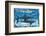 Sharks for Kids-null-Framed Art Print