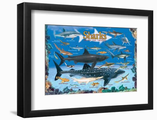 Sharks for Kids-null-Framed Art Print