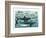 Sharks-null-Framed Art Print