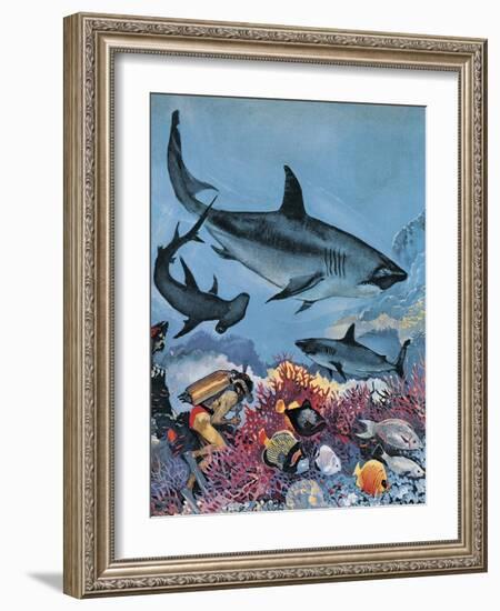 Sharks-G. W Backhouse-Framed Giclee Print