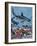 Sharks-G. W Backhouse-Framed Giclee Print